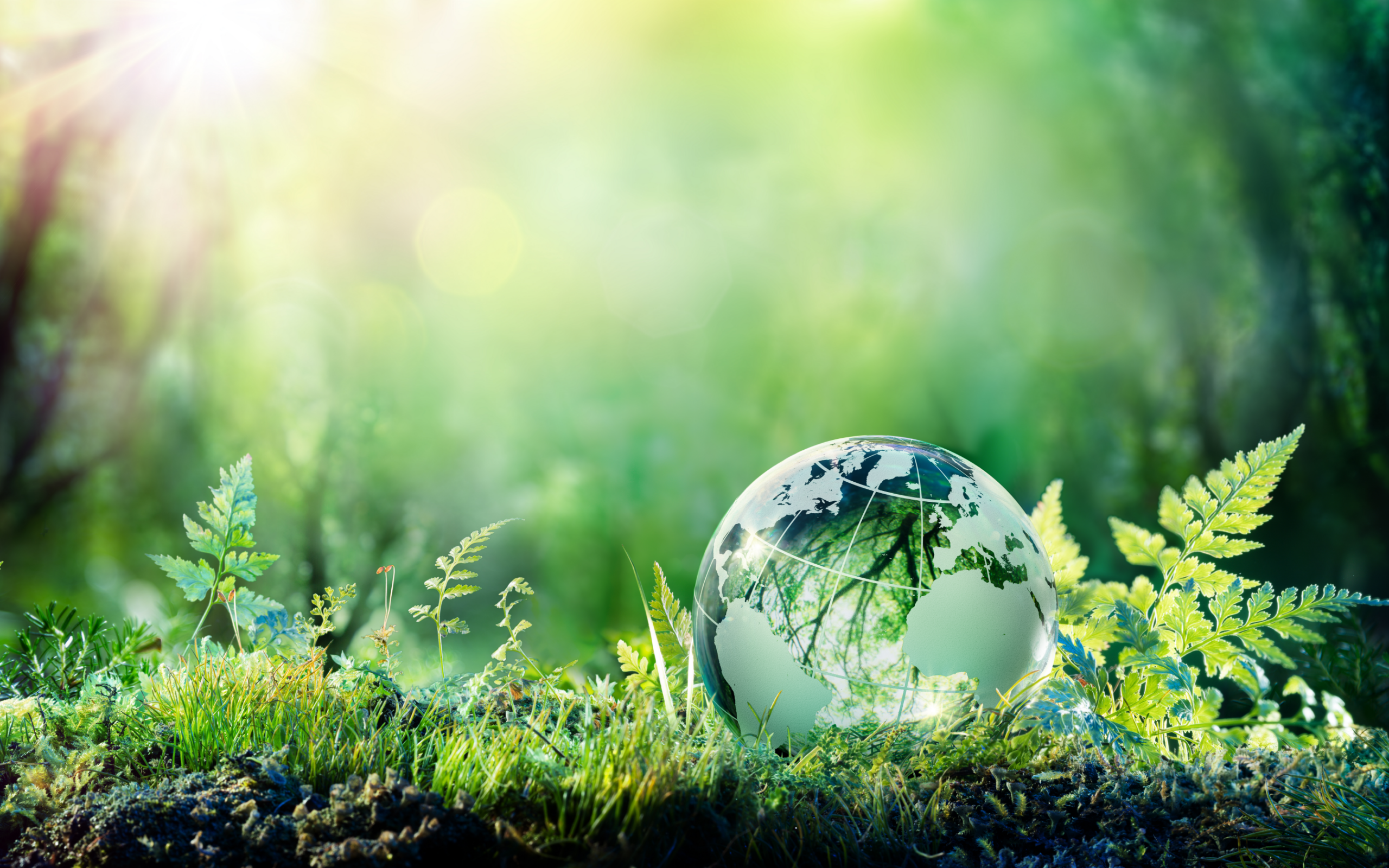 自然の恵み溢れる明日を創るイメージ